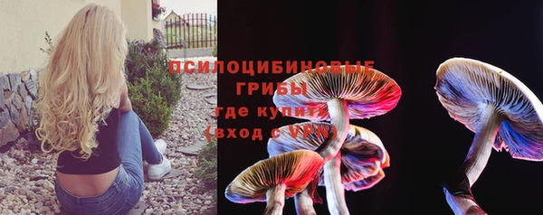 амф Богородицк