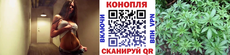 купить наркоту  kraken как войти  МАРИХУАНА VHQ  Касимов 
